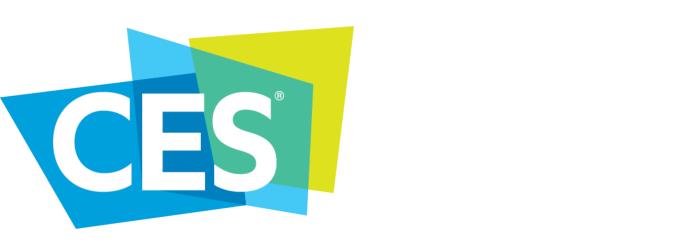 Leyer is presented at CES 2021